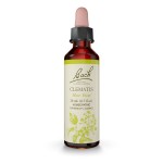 Bach Original Flower Remedies, Clematis - Have Focus - Natural Homeopathic Flower Essence for Emotional Balance - Vegan, Gluten Free, Sugar Free - 20mL Dropper