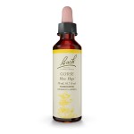 Bach Original Flower Remedies, Gorse - Have Hope - Natural Homeopathic Flower Essence for Emotional Balance - Vegan, Gluten Free, Sugar Free - 20mL Dropper