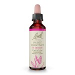 Bach Original Flower Remedies, Sweet Chestnut - Be Optimistic - Natural Homeopathic Flower Essence for Emotional Balance - Vegan, Gluten Free, Sugar Free - 20mL Dropper