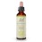 Bach Original Flower Remedies, Honeysuckle - Embrace The Now - Natural Homeopathic Flower Essence for Emotional Balance - Vegan, Gluten Free, Sugar Free - 20mL Dropper