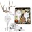 Skull Master by Illusion | White | European Mount | Antler Mounting Kit | Euro Mount | 3D Modeled Replica Deer Skull | Taxidermy | Compatible with Harvested and Shed Antlers | Universal Sizing