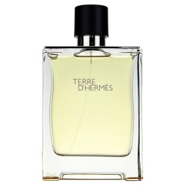 Terre D\'Hermes By Hermes Eau De Toilette Spray 6.7 Oz Men