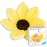 Blooming Bath Baby Bath Seat - Baby Tubs for Newborn Infants to Toddler 0 to 6 Months and Up - Baby Essentials Must Haves - The Original Washer-Safe Flower Seat (Original, Canary Yellow)