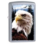 Zippo Eagle Pocket Lighter, Street Chrome