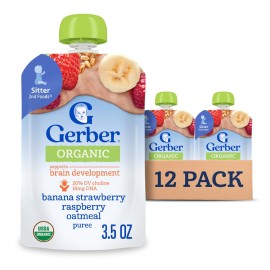 Gerber Organic 2nd Foods, Bananas, Red Berries & Granola Pureed Baby Food, 3.5 Ounce Pouch, 12 count