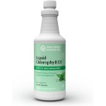 Nature\'s Sunshine Liquid Chlorophyll Extra Strength - Immunity Support, Detox & Cleanse, Chlorophyll Liquid Drops with Spearmint Oil, Natural Energy Boost, Internal Deodorant - 16 Fl Oz