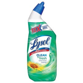 Lysol Power & Fresh Toilet Bowl Cleaner, Country Scent, 24oz