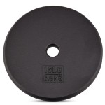 Yes4All 1-inch Cast Iron Weight Plates for Dumbbells - Standard Weight Disc Plates (15 lbs, Single)