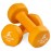 ProsourceFit Neoprene Dumbbell Coated for Non-Slip Grip, 6 lb