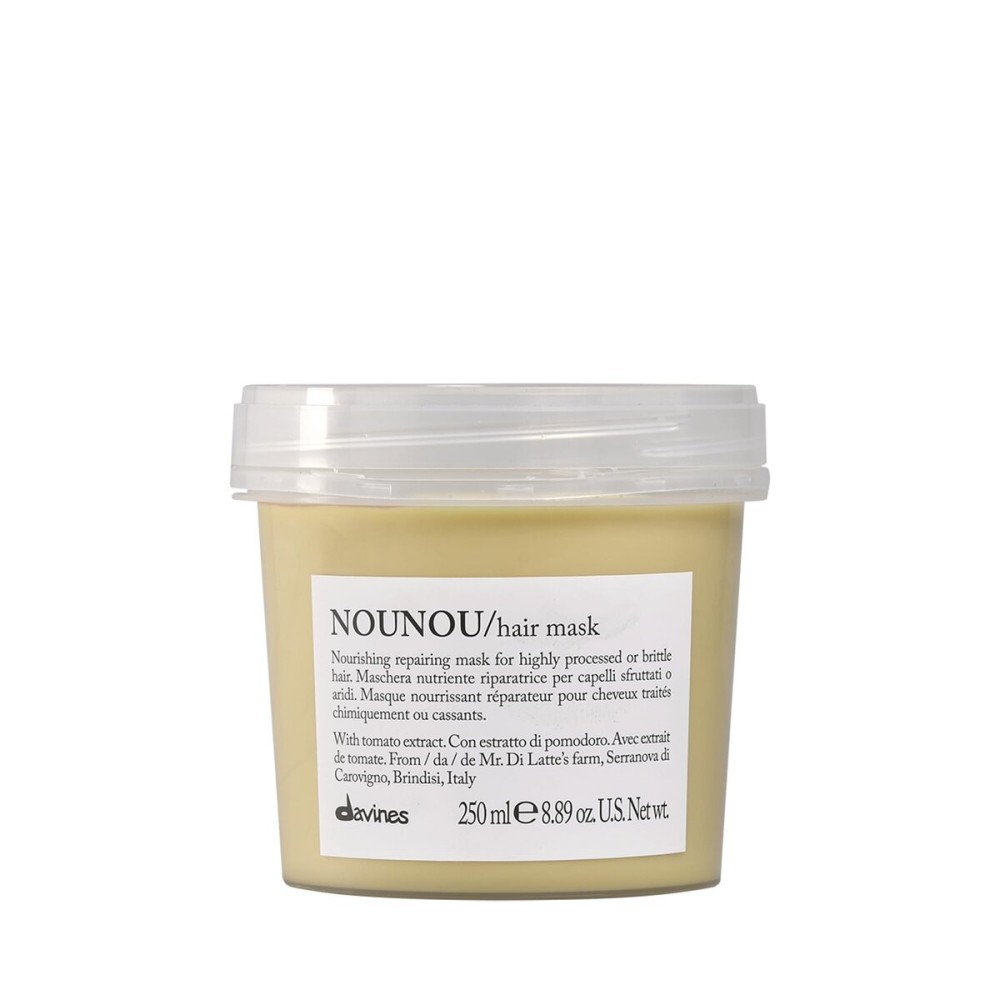 Davines Nounou Hair Mask, 8.87 Fl Oz (Pack of 1)