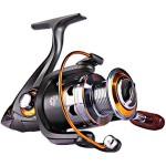 Sougayilang Spinning Fishing Reels Smooth 11BB for Inshore Boat Rock Freshwater Saltwater Fishing-DK2000