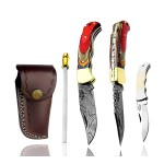 Multi Wood Unique Beautiful 6.5\'\' Custom Handmade Damascus Steel Brass Bolster Back Lock Folding Pocket Knife Sharpening Rod 100% Prime Quality Plus Beautiful Blue Wood Stainless Steel Pocket Knive