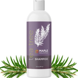 Tea Tree Shampoo for Oily Hair - Paraben and Sulfate Free Clarifying Shampoo for Build Up and Dry Scalp with Tea Tree Oil for Hair - Purifying Aromatherapy Tea Tree Oil Shampoo for Greasy Hair