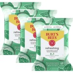 Burt\'s Bees Stocking Stuffers, Cucumber & Mint Face Wipes, for All Skin Types, Refreshing Makeup Remover & Facial Cleansing Towelettes, Skin Care Christmas Gifts, 30 Ct. (3-Pack)