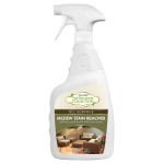 STAR BRITE Outdoor Collection All Surface Mold Stain & Mildew Stain Remover Spray - Cleans & Removes Stains on Contact - 32 OZ Spray (054432)