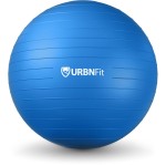 URBNFit Exercise Ball - Yoga Ball in Multiple Sizes for Yoga, Pilates, Pregnancy, Stability - Anti-Burst Swiss Balance Ball w/Quick Pump - Office Ball Chair for Home and Gym - 30 Inch - Blue