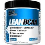 Evlution Stimulant Free Lean BCAA Powder Nutrition BCAAs Amino Acids Powder with CLA Carnitine and 2:1:1 Branched Chain Amino Acids Supports Muscle Recovery Fat Burn and Metabolism - Blue Raz