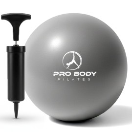ProBody Pilates Small Exercise Ball with Pump - 9 Inch Workout Ball for Stability, Barre, Yoga, Core & Physical Therapy, Home Gym & Office Use (Silver)