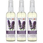Natural Flower Power Air Freshener Spray - Odor Eliminator with Essential Oils for the Home, Car & Fabric - Cruelty Free & Vegan - 3 Pack - Lavender - 3 x 4 oz