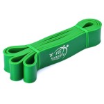 Fit Simplify Pull Up Assist Resistance Bands for Fitness, Physical Therapy, Stretching, Mobility and Exercise