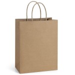 BagDream 25Pcs Brown Gift Bags 8x4.25x10.5 Kraft Paper for Gifts, Shopping Retail Merchandise Grocery Sacks, Brown Paper Bags with Handles Bulk Medium
