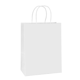 BagDream Paper Shopping Bags 10x5x13 100Pcs White Kraft Gift Bags with Handles Bulk, for Shopping, Merchandise, Retail, Party Favor, Gifts, Take-out, Recyclable Paper Sacks