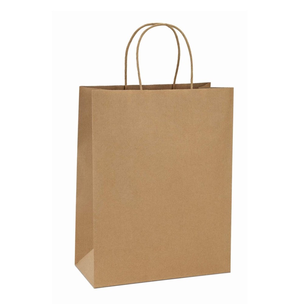 BagDream 10x5x13 Kraft Shopping Bags 100Pcs Brown Paper Bags with Handles Bulk, for Gifts, Merchandise, Retail, Party Favor, Take-out, Grocery, Recycled Paper Gift Sacks