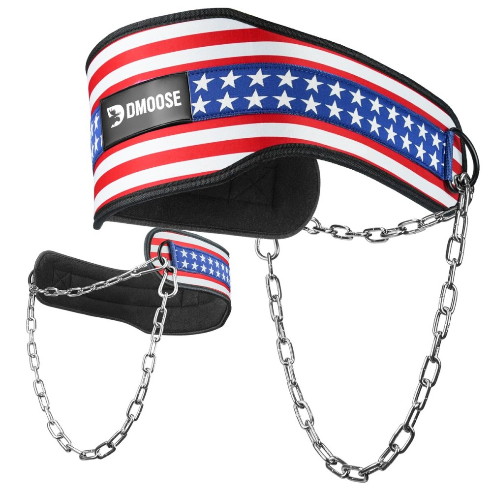 DMoose Dip Belt for Weightlifting, Weight Belt with Chain for Pullup, Gym Lifting Belt for Powerlifting, Squat, Bodybuilding, Heavy Duty Steel, Workout Belt with Comfortable Neoprene Support