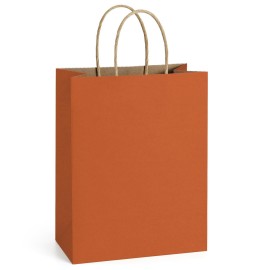 BagDream Gift Bags 8x4.25x10.5 Inches 25Pcs Orange Kraft Paper Bags with Handles, for Shopping, Retail, Merchandise, Business, Party Favor, Halloween Paper Gift Sacks