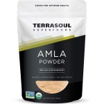 Terrasoul Superfoods Organic Amla Berry Powder (Amalaki), 16 Oz - Rich in Antioxidant Vitamin C | Supports Immunity
