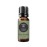 Edens Garden Fir- Douglas Essential Oil- 100% Pure Premium Grade, Undiluted, Natural, Therapeutic, Aromatherapy, The Best for Diffuser, Skin, Candle, Humidifiers 10 ml (.33 fl oz)
