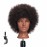 Hairginkgo 100% Human Hair Mannequin Head Hairdresser Training Head Manikin Cosmetology Doll Head (92092B0210)
