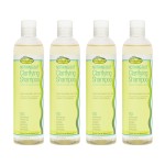 NOTHING BUT Clarifying Shampoo Sulfate-Free Detox for Natural Hair - Hair Shampoo - Removes Buildup - 12oz - Pack of 4