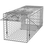 ZENY Live Animal Cage Trap 32 X 12.5 X 12 Steel Cage Catch Release Humane Rodent Cage for Rabbits, Stray Cat, Squirrel, Raccoon, Mole,Opossum, Skunk & Chipmunks