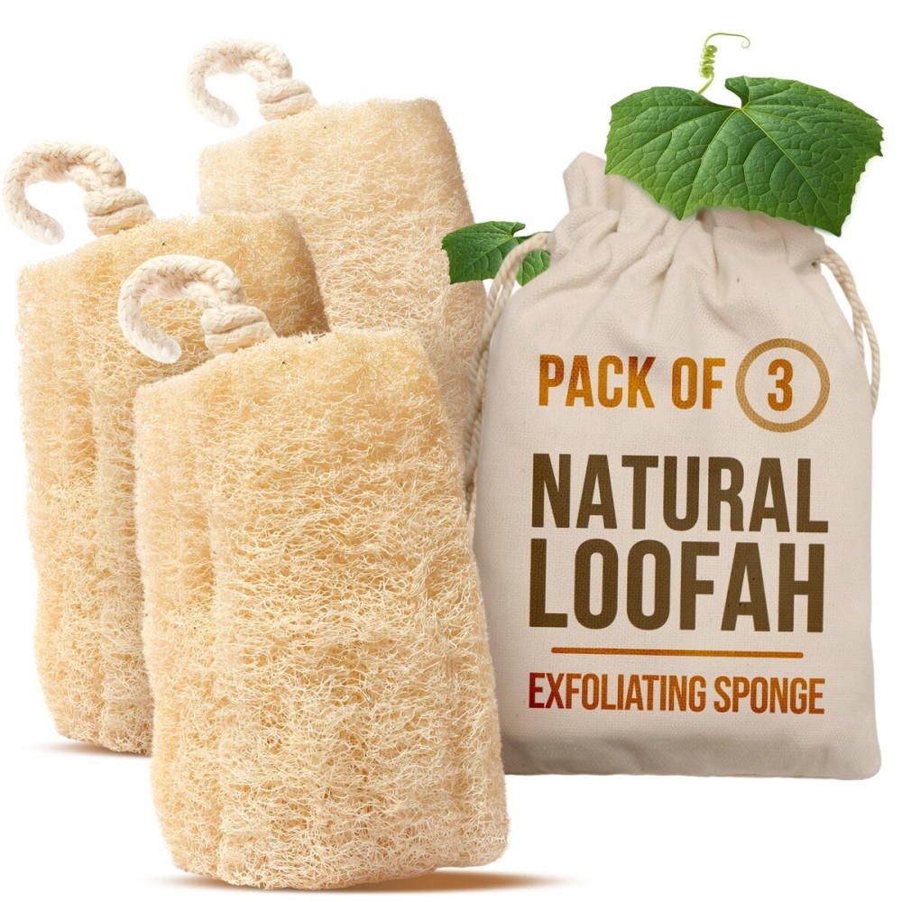 CraftsOfEgypt Natural Loofah Sponge - Egyptian Luffa Body Scrubber Pack of 3 for Men & Women, Natural Bath & Shower Loofah Exfoliator, All Natural Loofah Sponges for Face Back & Body, 6 x 6