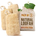 CraftsOfEgypt Natural Loofah Sponge - Egyptian Luffa Body Scrubber Pack of 3 for Men & Women, Natural Bath & Shower Loofah Exfoliator, All Natural Loofah Sponges for Face Back & Body, 6 x 6