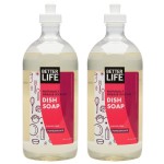 Better Life Dish Soap - Liquid Dishwashing Soap with Vitamin E and Aloe for Home & Kitchen Sink - No Gloves Required Kitchen Soap for Sensitive Skin - 22oz (Pack of 2) Currant and Citrus