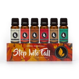 Eternal Essence Oils Step Into Fall Set of 6 Premium Fragrance Oils - Almond Coconut Milk, Fire Amber, Sexy Cinnamon Clove, Reindeer Retreat, Tabacco Vanilla, and Warmths of The Holidays - 10ML