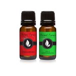 Eternal Essence Oils 2 Pack 10ml Premium Fragrance Oil - Strawberry & Wild Watermelon - for Candle, Soap Making, Aromatherapy, Diffusers, Home Care, & Humidifiers