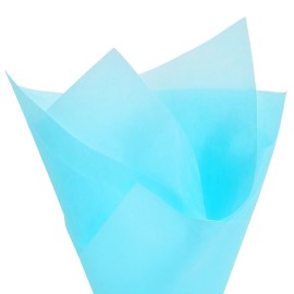 PMLAND 100 Sheets Light Blue Tissue Wrapping Paper Bulk 20 x 15 Inches for Gift Favor Bags Boxes Flowers Packaging Crafts DIY Art Projects and Party Decorations