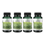 Swanson Lion\'s Mane Mushroom - Herbal Supplement Promoting Mental Focus & Memory Support - Traditional Brain Booster Supplement Made from Hericium Erinaceus - (60 Capsules, 500mg Each) 4 Bottles