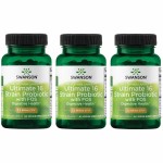 Swanson Dr. Stephen Langer\'s Formula - Natural Probiotic w/Prebiotic FOS - 16-Strain Supplement Promoting Digestive Support w/ 3.2 Billion CFU per Capsule - (60 Veggie Capsules) 3 Pack