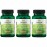 Swanson Dr. Stephen Langer\'s Formula - Natural Probiotic w/Prebiotic FOS - 16-Strain Supplement Promoting Digestive Support w/ 3.2 Billion CFU per Capsule - (60 Veggie Capsules) 3 Pack