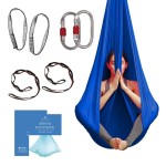 Aerial Silk Yoga Hammock & Swing for Home, Inversion Exercises, Starter Kit for All Levels - Durable with Extension Straps, Carabiners, and Pose Guide