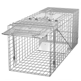 ZENY Live Animal Cage Trap 32 X 12.5 X 12 w/Iron Door Steel Cage Catch Release Humane Rodent Cage for Rabbits, Stray Cat, Squirrel, Raccoon, Mole, Gopher, Chicken, Opossum, Skunk & Chipmunks