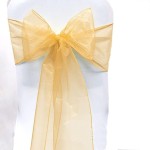 Elegant Organza Chair Sashes Sheer Fabric Sashes for Weddings, Parties, and Special Events - (Pack of 10 Pieces, Gold)