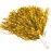 baotongle 12 PCS Cheerleading Squad Spirited Fun Poms Pompoms Cheer Costume Accessory for Party Dance Sports (Goldens)