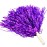 baotongle 12 PCS Cheerleading Squad Spirited Fun Poms Pompoms Cheer Costume Accessory for Party Dance Sports (Purples)