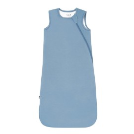 KYTE BABY Unisex Rayon Made From Bamboo Sleep Bag for Babies and Toddlers, 2.5 Tog (Small, Slate)