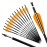 REEGOX Crossbow Bolts 20 inch Bio Crossbow Arrows with 4-Inch Vanes(Pack of 12)